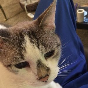 Meet your Posher, Jeff